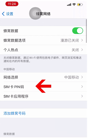 广昌苹果14维修网分享如何给iPhone14的SIM卡设置密码 