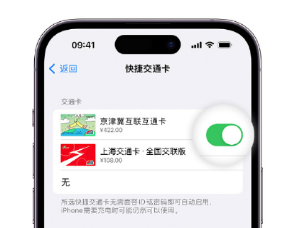 广昌apple维修点分享iPhone上更换Apple Pay快捷交通卡手绘卡面 