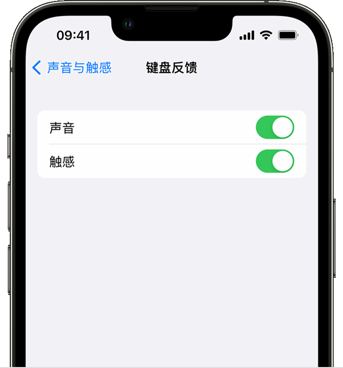 广昌苹果14维修店分享如何在 iPhone 14 机型中使用触感键盘 