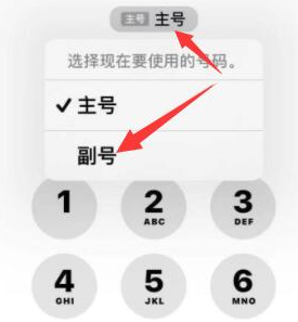 广昌苹果14维修店分享iPhone 14 Pro Max使用副卡打电话的方法 