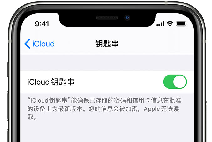 广昌苹果手机维修分享在 iPhone 上开启 iCloud 钥匙串之后会储存哪些信息 