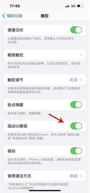 广昌苹果手机维修分享iPhone手机如何设置摇一摇删除文字 